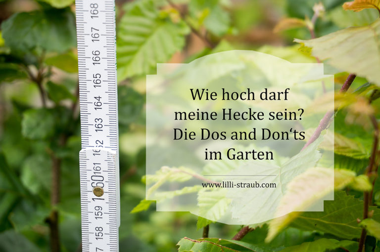 Wie hoch darf Ihre Hecke sein? Recht und Unrecht im Garten