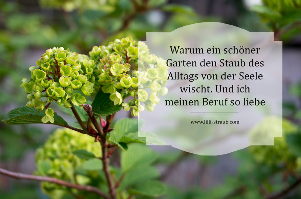 Warum ein schöner Garten uns den Staub des Alltags von der Seele wischt