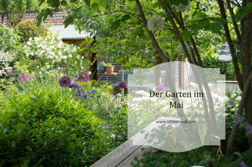 Der Garten im Mai Lilli Straub Den Traumgarten planen
