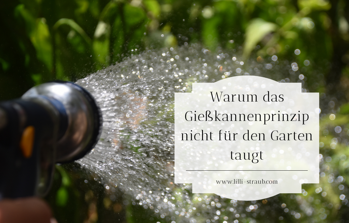 Featured image for “Warum das Gießkannenprinzip nicht für den Garten taugt”